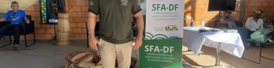 MAPA anuncia apoio à produção orgânica e projetos para cadeia do morango durante a AgroBrasília 2026 no Distrito Federal.