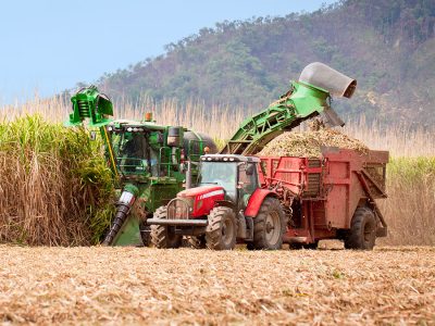 Colheita mecanizada - Crédito: Shutterstock