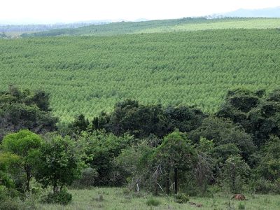 Fotos: Alexandre Amaral/Emater-MG
