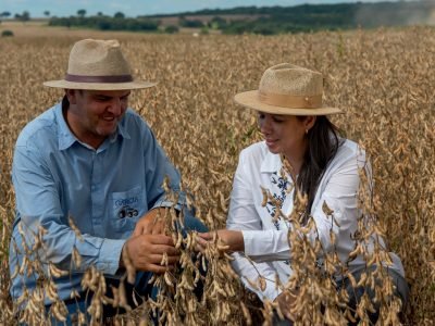 Lavoura de Soja na região de Araguari / Mario Castello