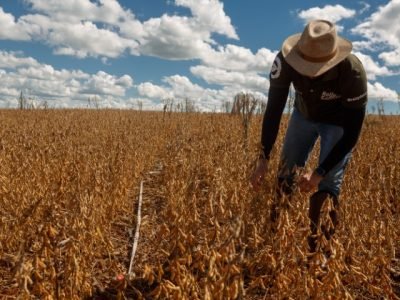 Crescimento da safra se deve 30% à ampliação de área e 70% aos ganhos de produtividade
Eduardo Monteiro/Rally da Safra