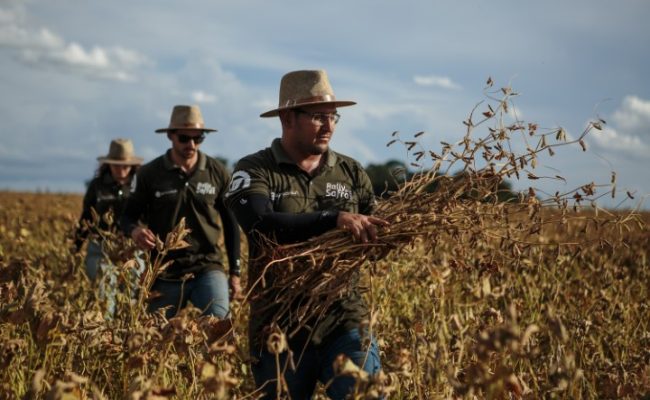Técnicos do Rally da Safra avaliam lavoura de soja
Eduardo Monteiro/Rally da Safra