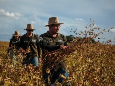 Técnicos do Rally da Safra avaliam lavoura de soja
Eduardo Monteiro/Rally da Safra