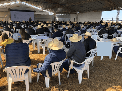 O lançamento aconteceu durante o 5º Dia de Campo da Mandioca