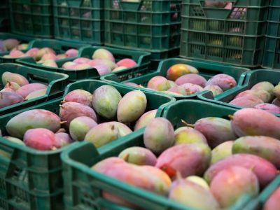 Foto Agência Gov.br