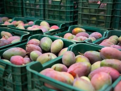 Foto Agência Gov.br