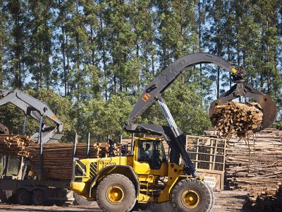 Máquinas - Crédito Fibria