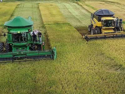 Máquinas Colheita - Crédito: Fagner Almeida - Divulgação