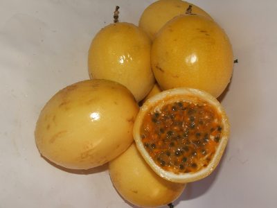 Crédito Ana Maria Diniz