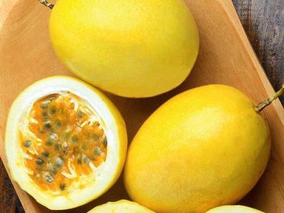 Maracujá Catarina-divulgação