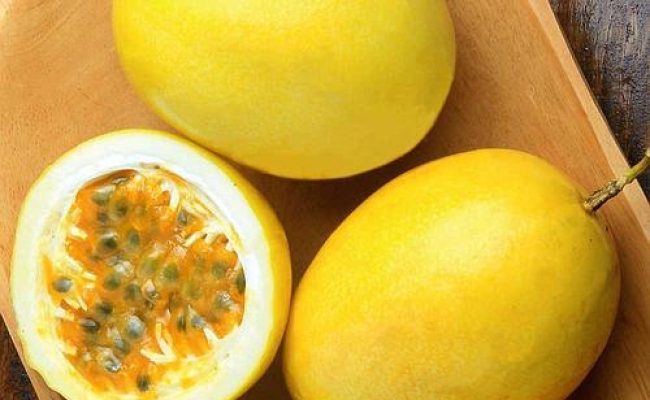 Maracujá Catarina-divulgação