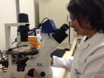 Maria Elita B. Castro, pesquisadora da Embrapa Recursos Genéticos e Biotecnologia - Crédito Arquivo pessoal
