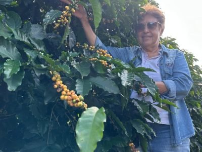 Produtora Maria José Vilela Rezende / Fotos: Emater-MG/Divulgação