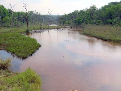 Matas ciliares devem ser recuperadas de acordo com Novo Código Florestal - Crédito Rodiney Mauro