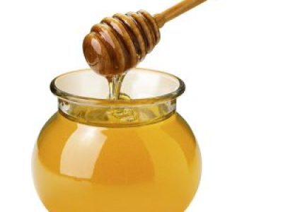 Mel-02-Crédito-Net-01-2009-300x300