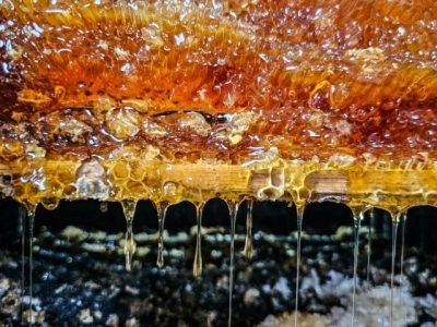 Imagem ilustrativa - Credito Diego Vargas