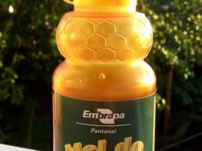 Mel do Pantanal produzido com o apoio da Embrapa Pantanal_Foto de Nicoli Dichoff