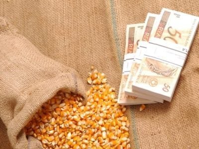 Crédito Fernando Gomes