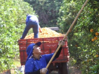 Monica-Cristina-Fernandes-Pereira-Coperfam-Bebedouro-SP-1-Telefone