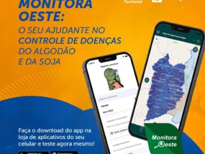 Monitora Oeste (Pequeno)