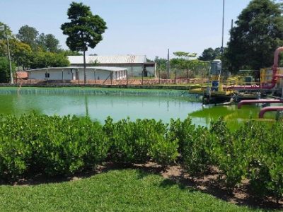 Monsanto - outubro 2015