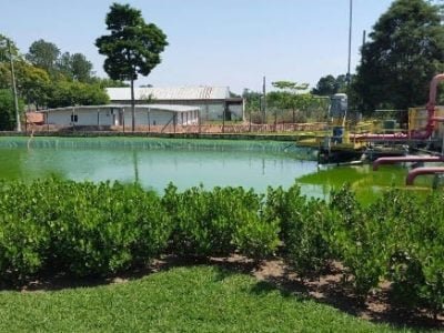 Monsanto - outubro 2015