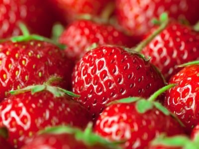 Cestos com morangos frescos colhidos em lavoura brasileira no inverno