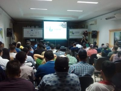 Não pode faltar potássio na fase vegetativa da cultura da soja, diz especialista