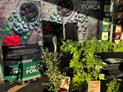 No estande da CATI, o visitante da feira encontra mais informações sobre o projeto