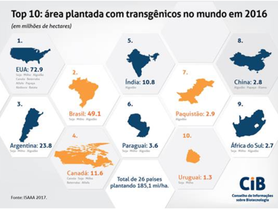 Nova Imagem (13)