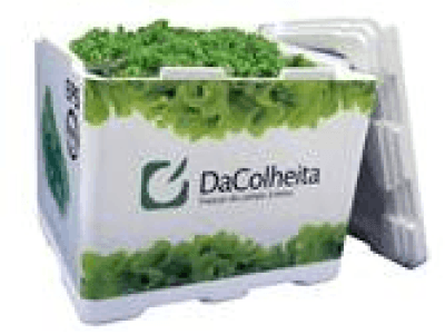 Conservadora para
Folhosas