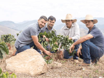 Os irmãos Márcio e Gilmar Brinate e colaboradores da Atlantica Coffee, Lucas Barreto e Ãcaro Tranin, do time de Boas Práticas.
Crédito: Thays Lage