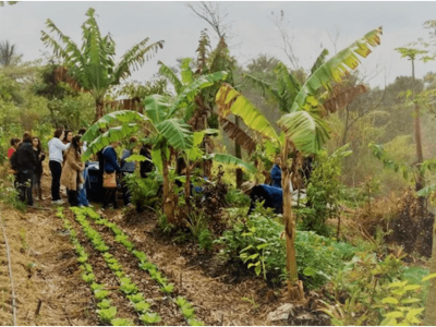 Nova Imagem (9) Nova Imagem (9)