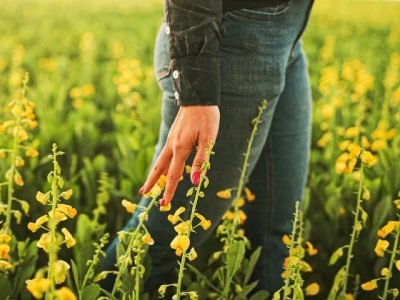 ORIGEO-Primeiro-episodio- da-webserie-Rota-Regenerativa-resgata-a-historia-da-agricultura-brasileira-foto-por-ORIGEO-1 (Pequeno)