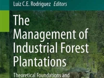 Obra retrata a gestão de florestas plantadas