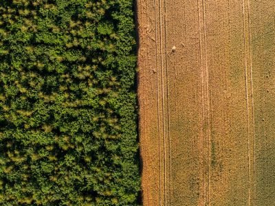 Crédito: Produzindo Certo