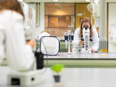 P&D Microbiologicos_Koppert Biological Systems