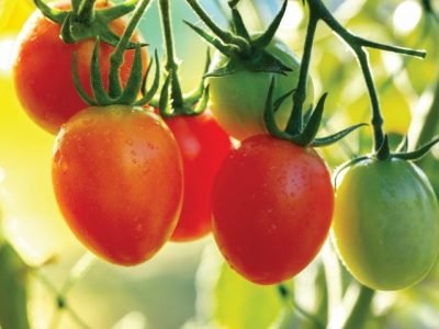 PG 06 a 07 - Foto 02 (Pequeno)