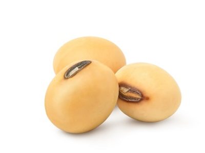 Close-up,Three,Soybean,Seeds,Isolated,On,White,Background.,Clipping,Path.