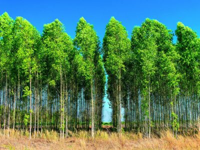 PG-08-a-09-Foto-01-1