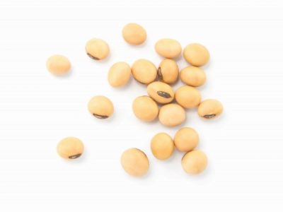 Soybean seeds isolated on white background , top view , flat lay.