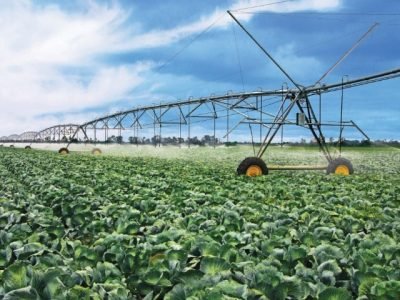 PG 08 a 10 - Foto 01 (Pequeno)