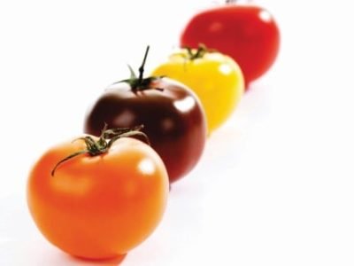 PG 08 a 11 - Foto 01 (Telefone)