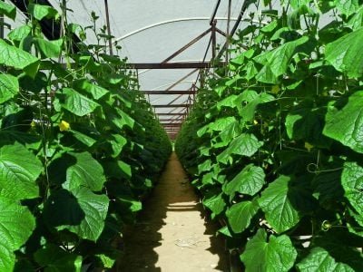 PG-10-a-11-Foto-01-1