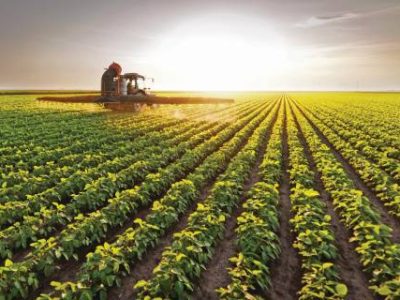 Tractor spraying pesticides at  soy bean fields