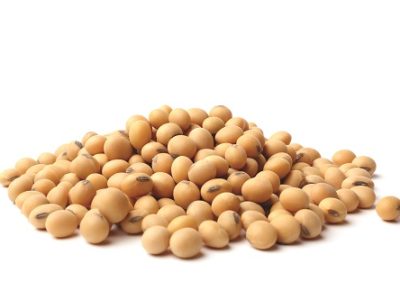 Dried soya beans on white background