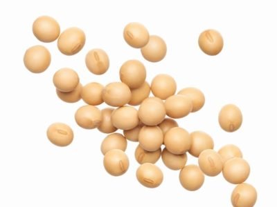 Soybeans splash isolated on white background