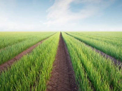 PG 14 a 15 - Foto 01 (Telefone)