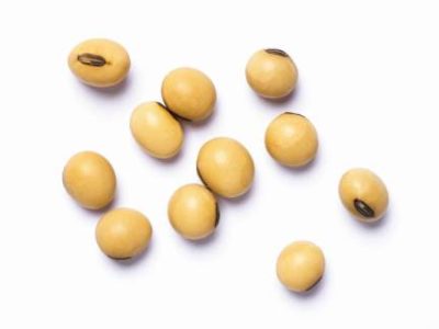 Group of soybeans isolated on white background. Top view. Flat lay. Macro.
