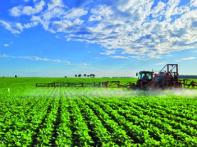 PG-16-a-17-Foto-01-1